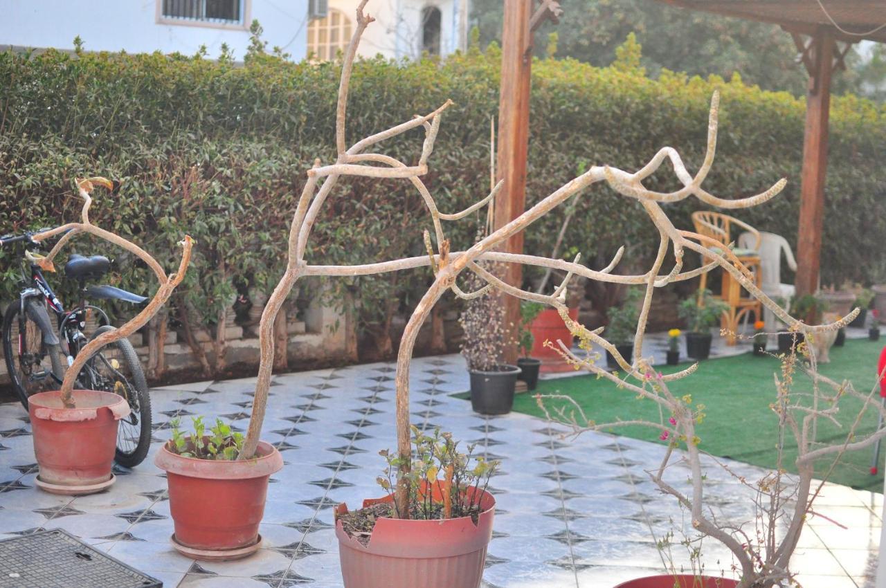 Morning Star Guesthouse 샤름 엘 셰이크 외부 사진